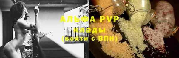 PSILOCYBIN Абаза