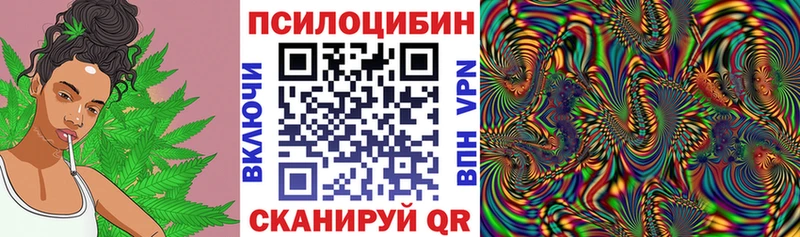 Галлюциногенные грибы ЛСД  закладки  OMG ссылка  Тотьма 